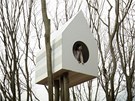 Domek tak nabízí příjemné soužití jednoho pozorovatele a skupinky ptáků. Domek tak nabízí příjemné soužití jednoho pozorovatele a skupinky ptáků.