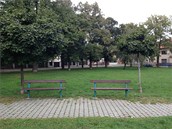 iPhone 5 foto n�hled