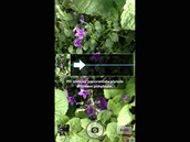 iPhone 5 - p�i po�izov�n� panoramatick� fotografie se na displeji objevuje