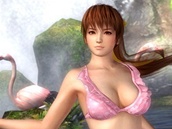 Dead or Alive 5 Dead or Alive 5