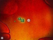 Project Cell Project Cell