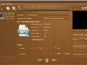 ACDSee Video Converter