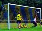 Sítě v brance i na lešení. Nepustí balon a ochrání před pádem