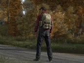 DayZ DayZ