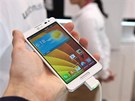 I LG Optimus F7 má výborný displej, jen ty barvy jsou pon�kud nerealistické. 