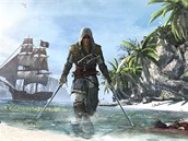 Assassins Creed 4 Assassins Creed 4