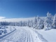 N�kte�� b�ka�i by si zaplatili za upravenou tra� po h�ebenech Orlick�ch hor.