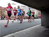 V Pardubicích se konalo mistrovstvi České republiky v půlmaratonu. V Pardubicích se konalo mistrovstvi České republiky v půlmaratonu.