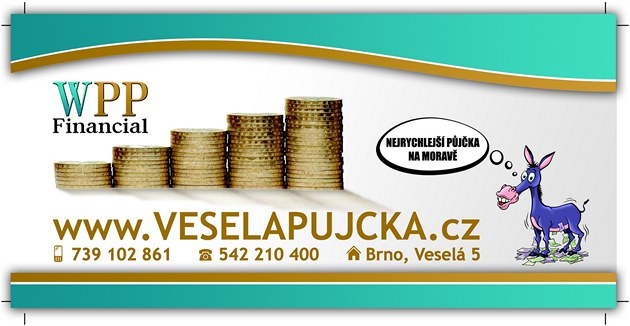Rychlá p�j�ka: Je vhodné �e�it problém touto cestou?