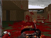 Brutal Doom Brutal Doom