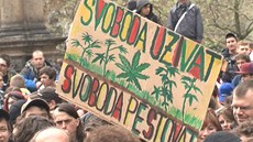 Zlegalizujte konopí. V Praze se demonstruje za legalizaci marihuany. Zlegalizujte konopí. V Praze se demonstruje za legalizaci marihuany.