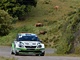 Jan Kopeck� z tov�rn�ho t�mu �koda b�hem Rally Korsika.