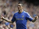 KONE�N�. Fernando Torres protrhl st�eleckou sm�lu v anglick� lize a po osmn�cti