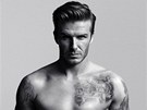 David Becham coby model. David Becham coby model.