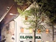 Kdy� hasi�i p�ijeli, byla u� st�echa hotelu v plamenech. Posl�ze se propadla.