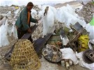 Dobrovolníci pořádají od roku 2010 každoročně akci Zachraňme Mount Everest od... Dobrovolníci pořádají od roku 2010 každoročně akci Zachraňme Mount Everest od...