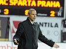 CO SE TO D�JE? Spar�ansk� tren�r V�t�zslav Lavi�ka se zlob� v pr�b�hu z�pasu v