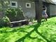 Lavi�ka na dvo�e, kterou p��jemn� vyh��v� podve�ern� slunce, je vrbov�. Pou�ili...