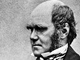 Charles Robert Darwin (12. �nora 1809 � 19. dubna 1882), britsk� p��rodov�dec a