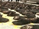 Čínští celníci zadrželi na čínsko-ruské hranici dva pašeráky, kteří chtěli