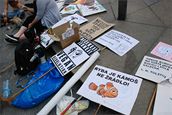 Prahou prošli vegani, demonstrovali za svobodu zvířat