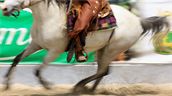 V Halter Valley se jezdilo rodeo