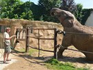 Desetiletý samec slona afrického Kita si sprchu náležitě užil... Desetiletý samec slona afrického Kita si sprchu náležitě užil...