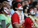 Nejen samotn� fotbalist�, ale i fanou�ci Tahiti si duel s Nig�ri� pat�i�n�