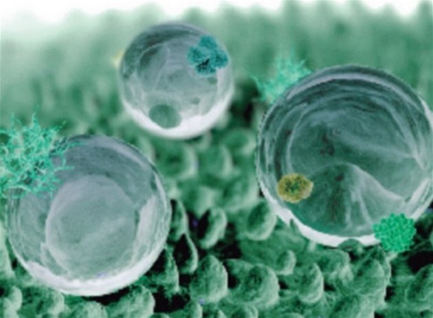 Technologie Hydroclean umožňuje čištění trouby pouze za pomoci vody Technologie Hydroclean umožňuje čištění trouby pouze za pomoci vody