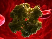 Počítačové kresby infekce virem HPV. Počítačové kresby infekce virem HPV.