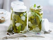 Receptů, jak připravit ty nejlepší kyselé okurky, je celá řada. Receptů, jak připravit ty nejlepší kyselé okurky, je celá řada.