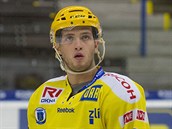 Antonín Honejsek Antonín Honejsek