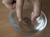 Do misky nalij vodu a na její hladinu zhruba doprostřed umísti korkový plátek... Do misky nalij vodu a na její hladinu zhruba doprostřed umísti korkový plátek...