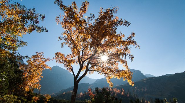 Nebojte se fotit proti slunci. Slovensko, Západní Tatry Nebojte se fotit proti slunci. Slovensko, Západní Tatry