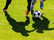 Fotbal (ilustrační snímek). Fotbal (ilustrační snímek).
