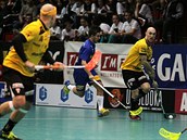 Momentka z utkání Střešovice - Vítkovice. Momentka z utkání Střešovice - Vítkovice.