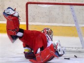 Hradecký brankář Pavel Kantor se marně natahuje po puku. Hradecký brankář Pavel Kantor se marně natahuje po puku.