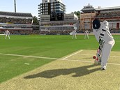 Titul Ashes Cricket 2013, který vydavatel hry zrušil až po jejím vydání. Titul Ashes Cricket 2013, který vydavatel hry zrušil až po jejím vydání.