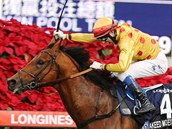NEJRYCHLEJŠÍ. Akeed Mofeed s žokejem Whytem vítězí Hong Kong Cupu. NEJRYCHLEJŠÍ. Akeed Mofeed s žokejem Whytem vítězí Hong Kong Cupu.