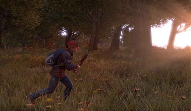Obrázek ze samostatné verze hry DayZ Obrázek ze samostatné verze hry DayZ