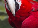 Pražská ZOO se z loňských povodní postuopně zotavuje. Již chybí opravit jen drobnosti v dolní části. Pražská ZOO se z loňských povodní postuopně zotavuje. Již chybí opravit jen drobnosti v dolní části.