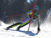 Felix Neureuther na trati slalomu v Kranjske Goře. Felix Neureuther na trati slalomu v Kranjske Goře.