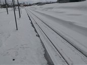 Deník z Japonska - Niseko Deník z Japonska - Niseko