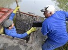 Rybáři nejprve museli rybník trochu upustit, aby se ve speciálních kalhotách... Rybáři nejprve museli rybník trochu upustit, aby se ve speciálních kalhotách...