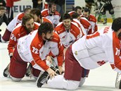 Olomoucký hokejový vláček dojel až do extraligy... Olomoucký hokejový vláček dojel až do extraligy...