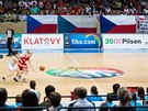 2. Ano, dvojka je pro Mistrovství světa v basketbalu žen do 17 let poměrně... 2. Ano, dvojka je pro Mistrovství světa v basketbalu žen do 17 let poměrně...