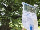 Strom Karla Kryla nedávno „vyrostl“ v kroměřížské Podzámecké zahradě. Strom Karla Kryla nedávno „vyrostl“ v kroměřížské Podzámecké zahradě.