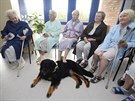 SKUPINOVÁ TERAPIE. Pacienti si ve valašskomeziříčské nemocnici na přítomnost... SKUPINOVÁ TERAPIE. Pacienti si ve valašskomeziříčské nemocnici na přítomnost...