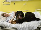 AŽ DO POSTELE. Při dodržení základních hygienických pravidel mohou psi k... AŽ DO POSTELE. Při dodržení základních hygienických pravidel mohou psi k...