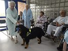 VZBUDIT ZÁJEM. „Motivovat starší lidi je daleko složitější než děti,“ říká... VZBUDIT ZÁJEM. „Motivovat starší lidi je daleko složitější než děti,“ říká...